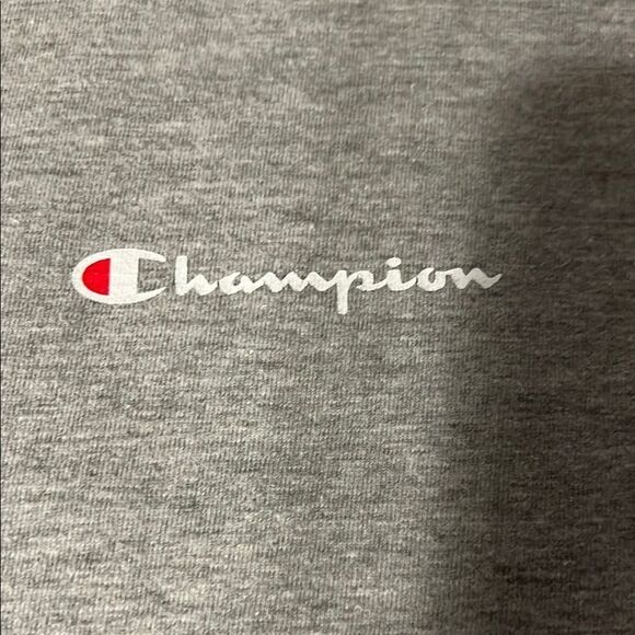 Champion Men's Gray T-Shirt - Picture 3 of 7
